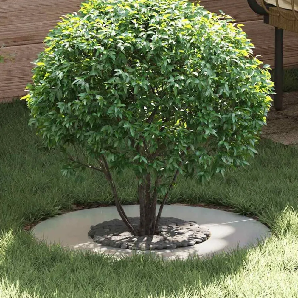 vidaXL adecuado para Anillo de Árbol Plano Plateado Ø30 / 60 cm Galvanizado Discount