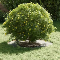 vidaXL adecuado para Anillo de Árbol Plano Plateado Ø30 / 60 cm Galvanizado Discount