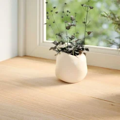 vidaXL Alféizares de ventana 2 uds madera maciza roble sin tratar Natural Sale