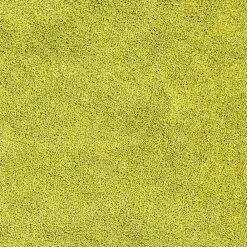 vidaXL Alfombrilla de baño antideslizante 50 x 80 cm PP Verde Online