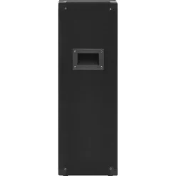 vidaXL Altavoces escenario profesional HiFi pasivos 2 uds 1000W negro Hot