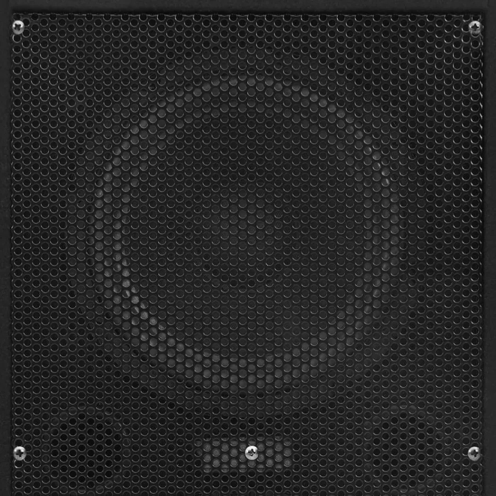 vidaXL Altavoces escenario profesional HiFi pasivos 2 uds 1000W negro Hot