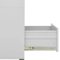 vidaXL Armario archivador de acero gris claro 46x62x102,5 cm Hot