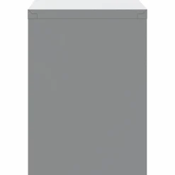 vidaXL Armario de herramientas y Gris 50 x 25 x 35 cm Negro Hot