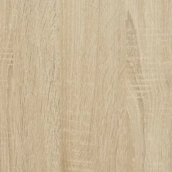vidaXL Armarios Y Almacenamiento-Armario de madera contrachapada 100x50x200 cm