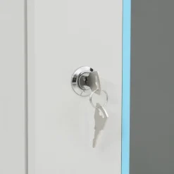vidaXL Armario rack de servidores de pared 4U 19