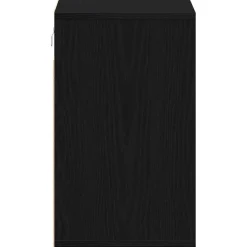 vidaXL Armario Zapatero con estante 52 x 30 x 50,5 cm Roble negro Online