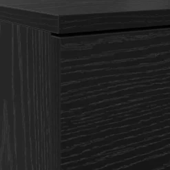vidaXL Productos Del Hogar-Armario Zapatero con cajón 100,5 x 28 x 100 cm
