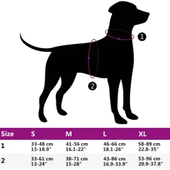 vidaXL Productos Para Mascotas-Arnés para perros con correa y collar ajustable marrón M