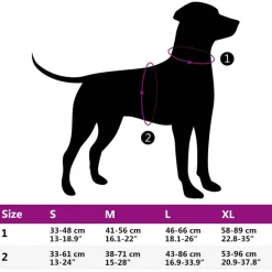 vidaXL Productos Para Mascotas-Arnés para perros con correa y collar ajustable S