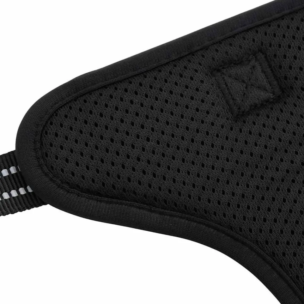 vidaXL Productos Para Mascotas-Arnés para perros con correa y collar ajustable S