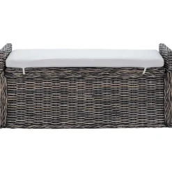 vidaXL Bancos-Banco de almacenamiento Lavado negro 110 x 40 x 50 cm Ratán