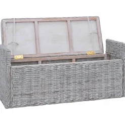 vidaXL Banco de almacenamiento con cojín 110 x 40 x 50 cm Ratán lavado Best