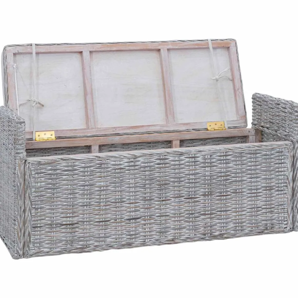 vidaXL Banco de almacenamiento con cojín 110 x 40 x 50 cm Ratán lavado Best