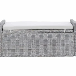vidaXL Banco de almacenamiento con cojín 110 x 40 x 50 cm Ratán lavado Best