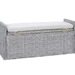 vidaXL Banco de almacenamiento con cojín 110 x 40 x 50 cm Ratán lavado Best