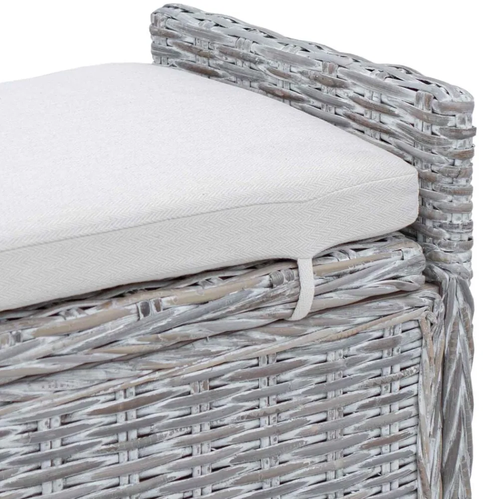vidaXL Banco de almacenamiento con cojín 110 x 40 x 50 cm Ratán lavado Best