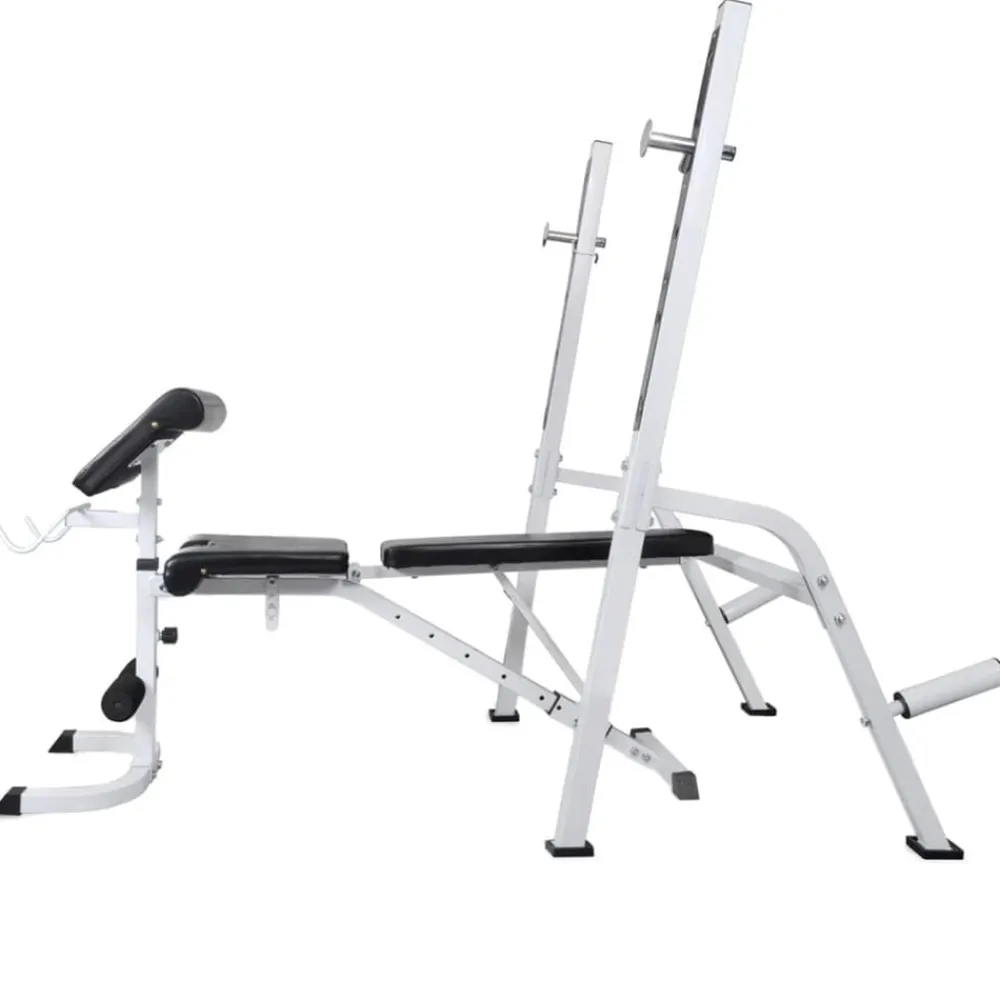 vidaXL Banco ejercicios con soporte pesas, pesas y mancuernas 120 kg Best