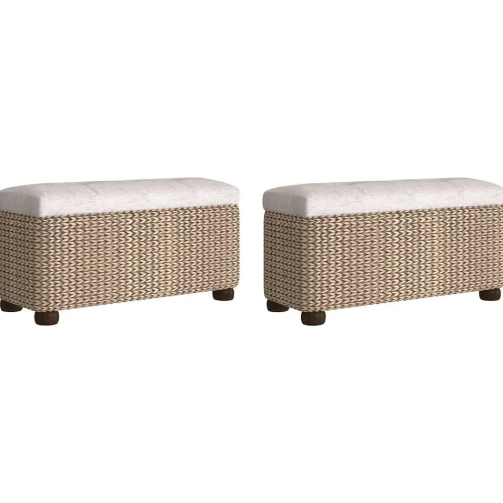 vidaXL Bancos-Bancos con almacenaje con cojín 2 uds enea 69 cm