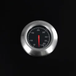 vidaXL Barbacoa combinada de gas y carbón con 3 fogones Sale