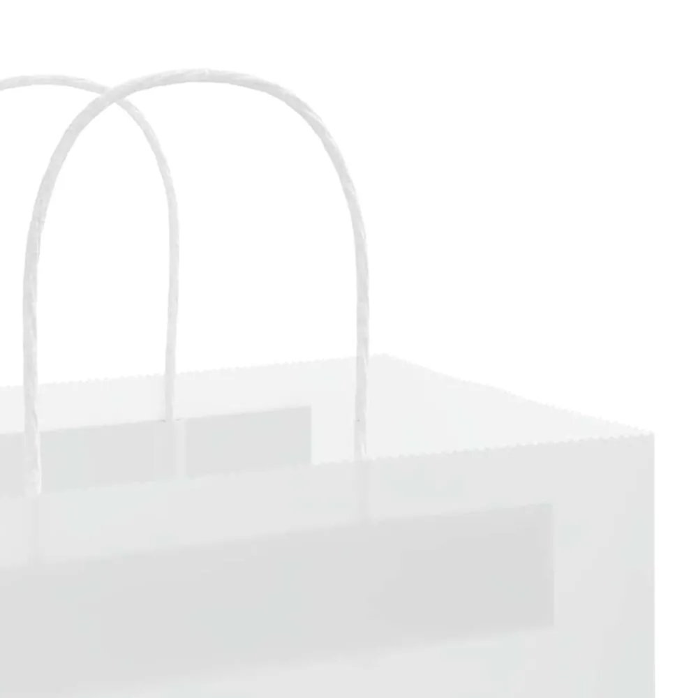 vidaXL Bolsas de papel con asas 50 uds blanca 21x11x28 cm Blanco New