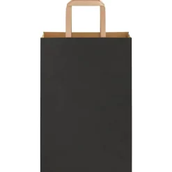 vidaXL Bolsas de papel con asas 250 uds negra 21x11x31 cm Negro Clearance