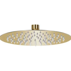 vidaXL Cabezal de ducha redondo efecto lluvia acero inox 20 cm Dorado Outlet