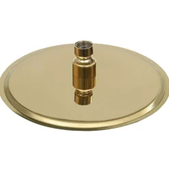vidaXL Cabezal de ducha redondo efecto lluvia acero inox 20 cm Dorado Outlet