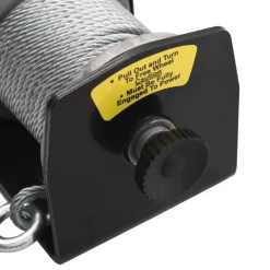 vidaXL Manipulación De Materiales-Cabrestante eléctrico con mando a distancia 12 V 907 kg