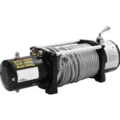 vidaXL Manipulación De Materiales-Cabrestante eléctrico 12 V 5909 kg