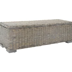 vidaXL Caja de almacenaje madera caoba y ratán Kubu natural 110cm Gris Hot