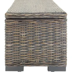 vidaXL Caja de almacenaje madera caoba y ratán Kubu natural 110cm Gris Hot