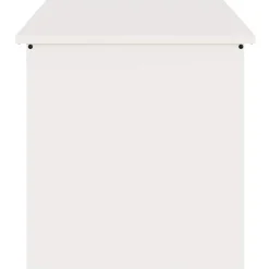 vidaXL Productos Del Hogar-Caja de Almacenamiento Exterior 100 x 50,5 x 50 cm Acero
