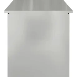 vidaXL Caja de Almacenamiento Exterior Plateado 100 x 50,5 x 50 cm Acero galvanizado Clearance