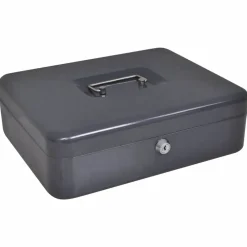 vidaXL Caja de dinero con cerradura Gris oscuro 30 x 24 x 9 cm Acero Outlet
