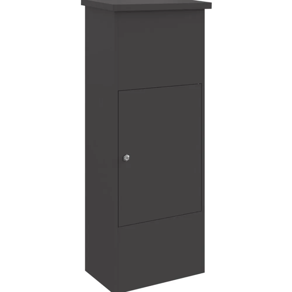 vidaXL Caja de entrega de paquetes 44,5 x 29 x 110,5 cm Acero Negro