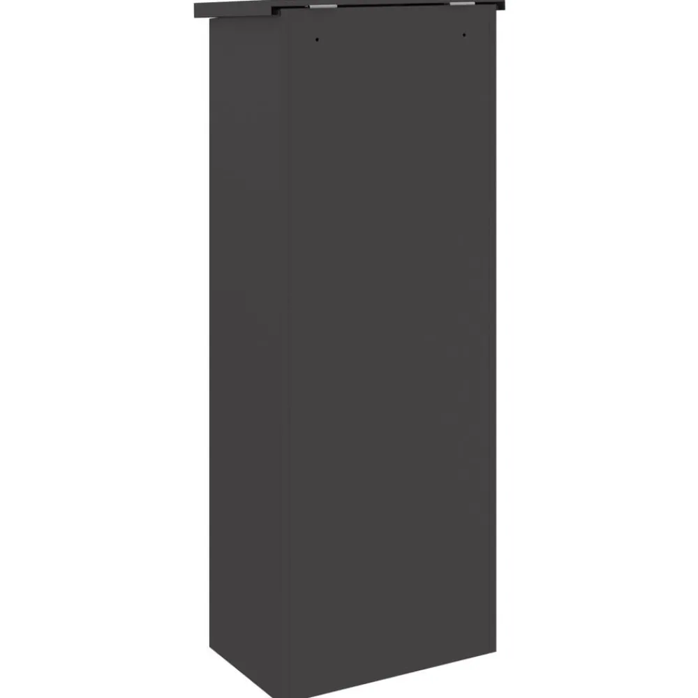 vidaXL Caja de entrega de paquetes 44,5 x 29 x 110,5 cm Acero Negro