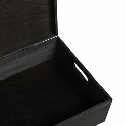 vidaXL Caja de madera tapa y asas madera maciza pino negra 40x30x13 cm Negro