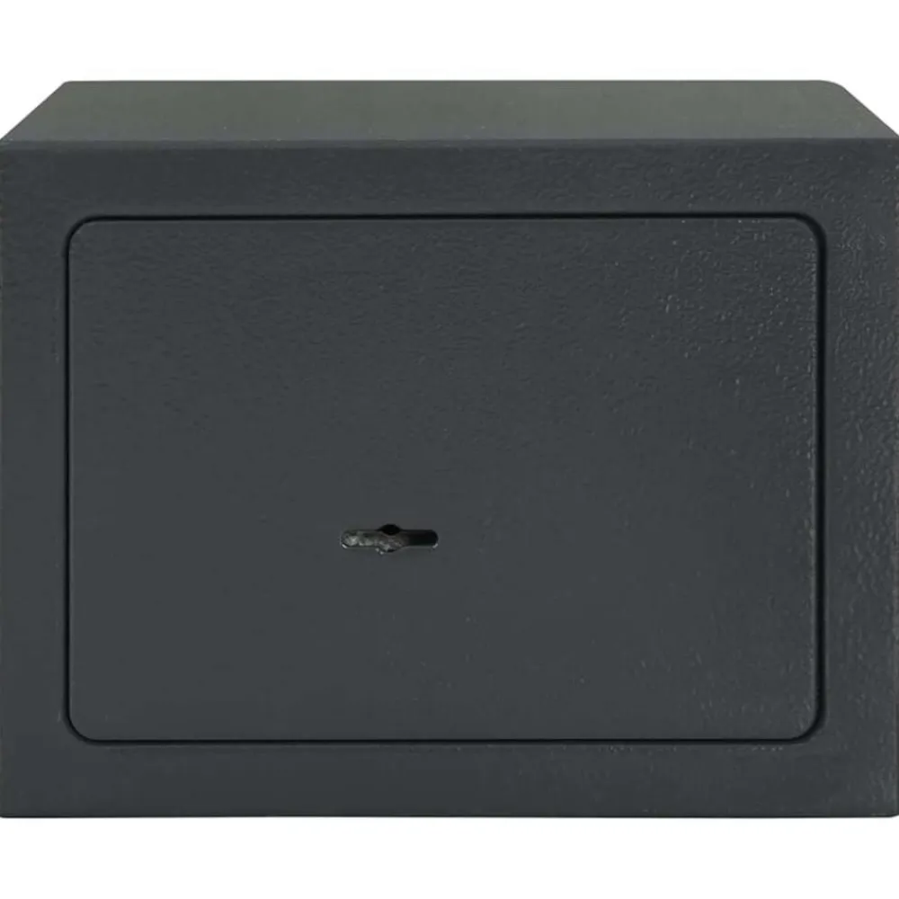 vidaXL Seguridad Empresarial Y Del Hogar-Caja Fuerte con cerradura Gris oscuro 23 x 17 x 17 cm Acero
