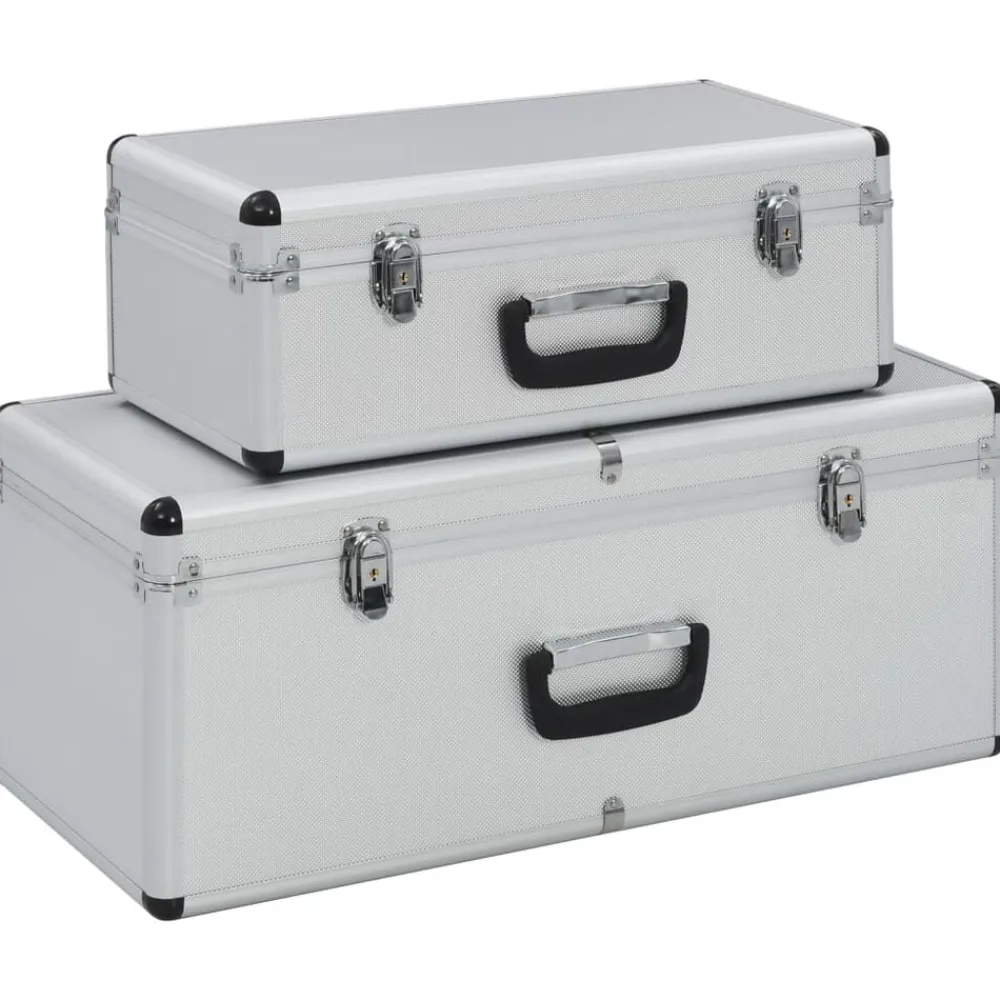 vidaXL Accesorios De Bricolaje-Cajas de almacenamiento 2 unidades aluminio