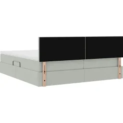 vidaXL Cama con tiras LED 180 x 200 cm Terciopelo Gris claro