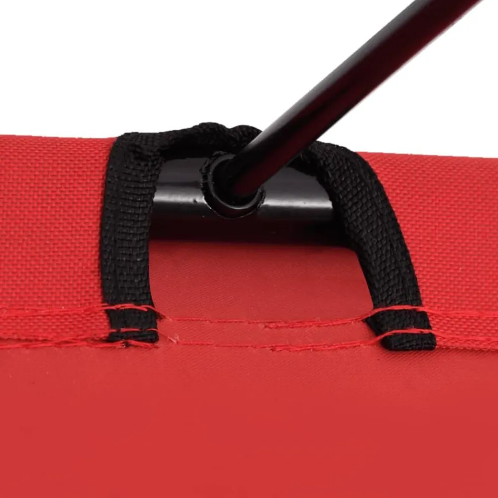 vidaXL Actividades Al Aire Libre-Cama de camping tela Oxford y acero roja 180x60x19 cm
