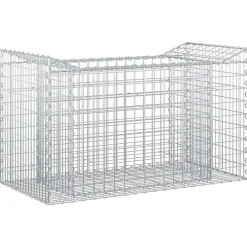 vidaXL Vallas De Jardín-Cama elevada de gavión Plateado 50 x 100 x 60 cm