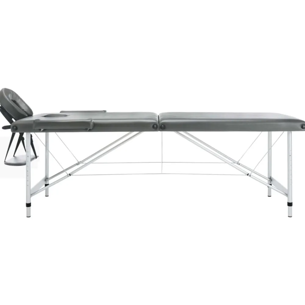 vidaXL Camilla de masaje 2 zonas marco aluminio 186x68 cm Antracita New