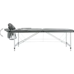 vidaXL Camilla de masaje 2 zonas marco aluminio 186x68 cm Antracita New