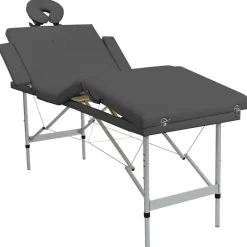 vidaXL Camilla masaje 4 zonas estructura aluminio 186x68 cm Antracita Hot