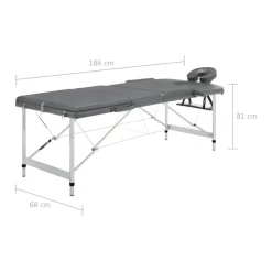 vidaXL Camilla masaje 3 zonas estructura aluminio 186x68 cm Antracita