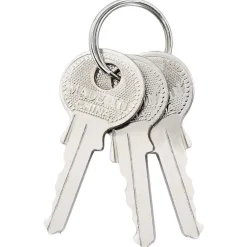 vidaXL Llaves Y Cerrojos-Candado en U con llaves 12 pcs Latón Hierro