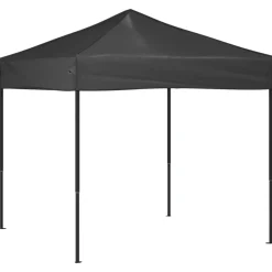 vidaXL Jardín-Carpa para fiestas plegable gris 2x2 m