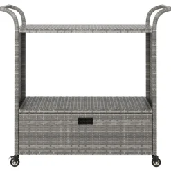 vidaXL Carrito de bar con cajón ratán sintético 100x45x97 cm Gris Online